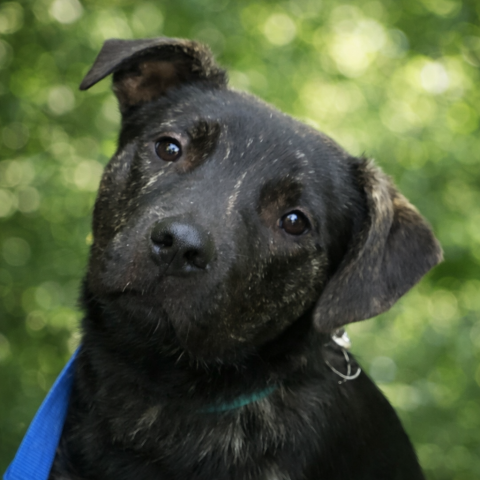 Sprout, VP of Morale & Client Support